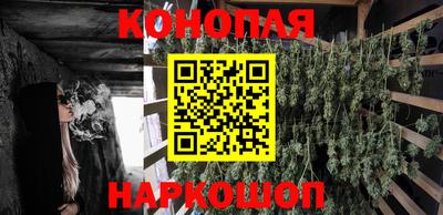 шишки Тверь