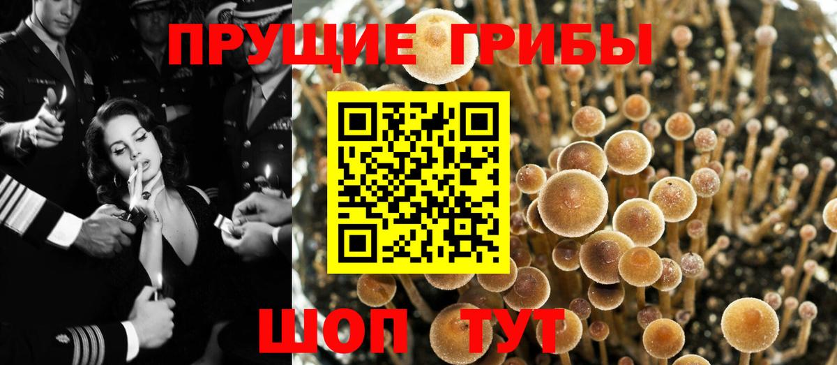 ГАШ  Вход с VPN  Новоалтайск  КОКАИН  Меф кристаллы  Канабис 