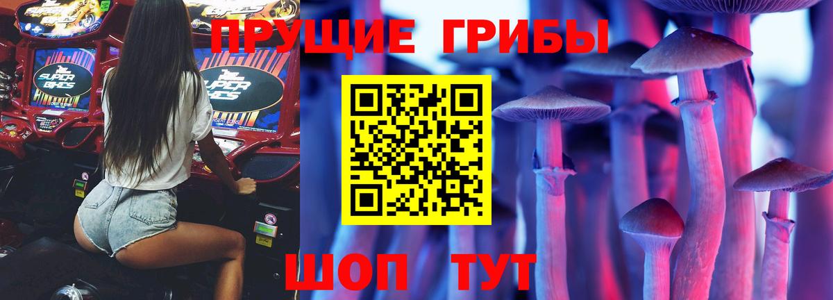 Новоалтайск  Галлюциногенные грибы GOLDEN TEACHER  закладка  Вход с VPN 